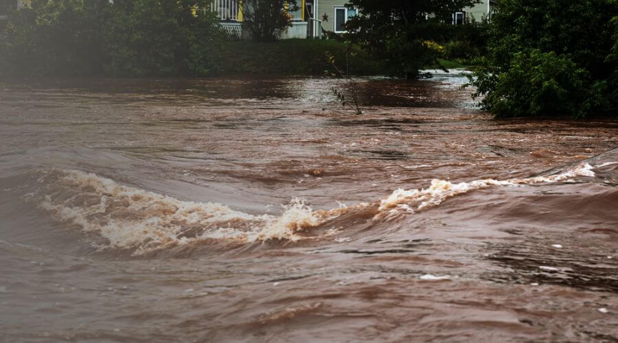 Why choose water damage restoration service for burst pipe water damage in Miami